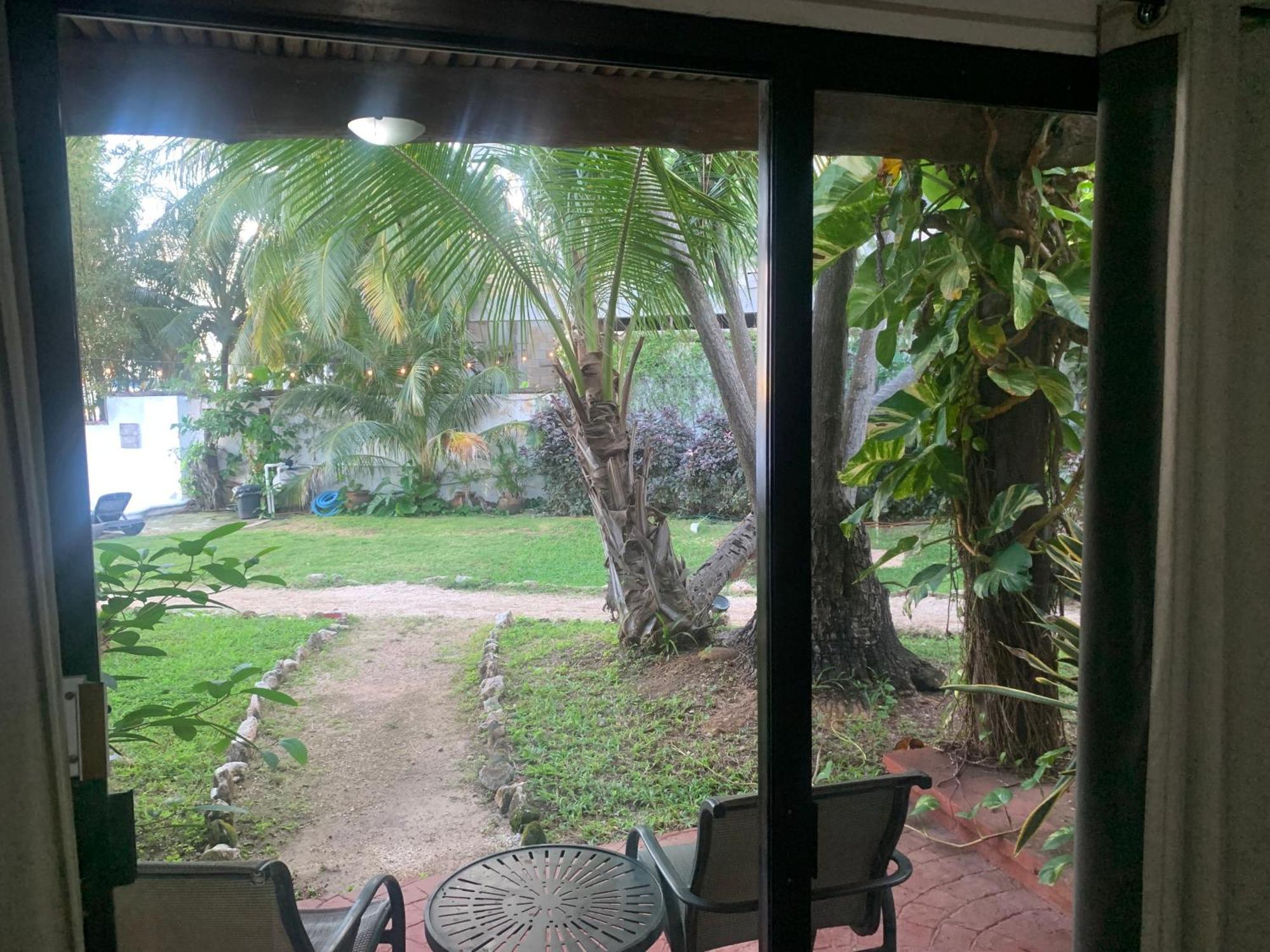 Casa Caribe Cancún Exterior foto View of the garden from the living room